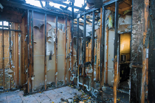 Professional Smoke Damage Removal technician working in Holts Summit, MO